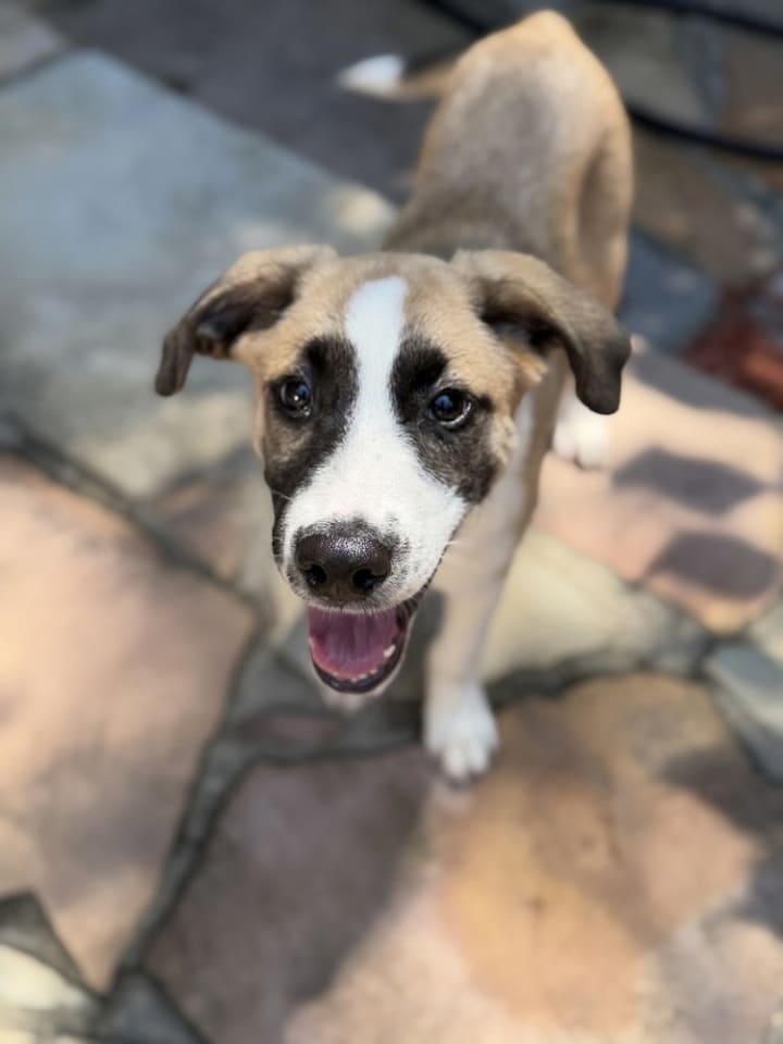 Photo of Jack