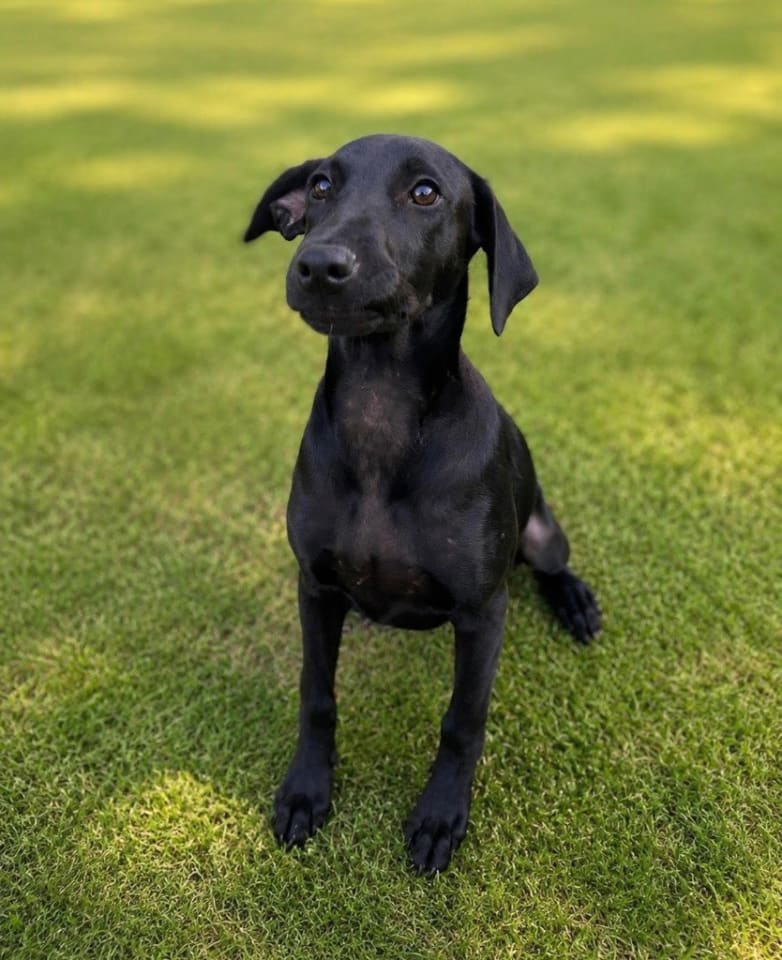 Photo of Chiquita