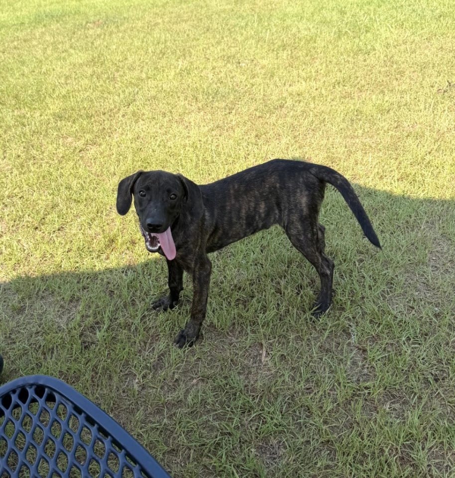 Photo of Cowboy