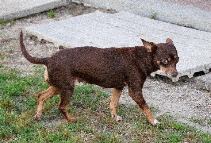 Photo of Juanita