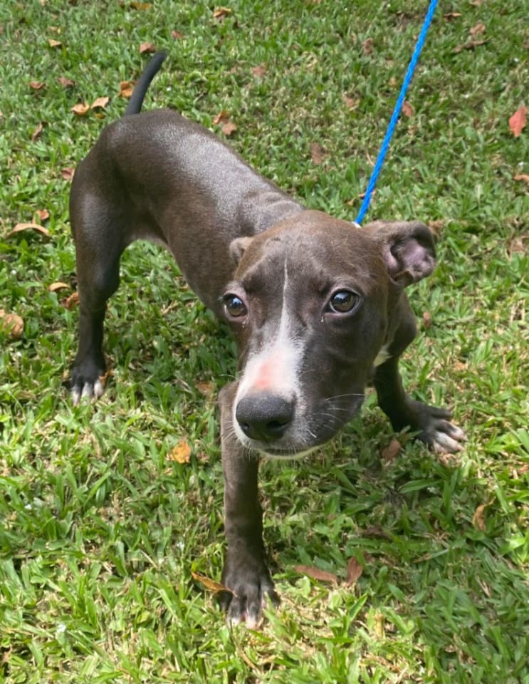 Photo of Marley2