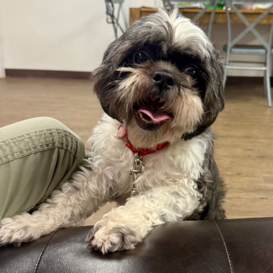 Photo of Max