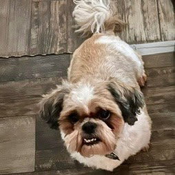 Photo of Minnie