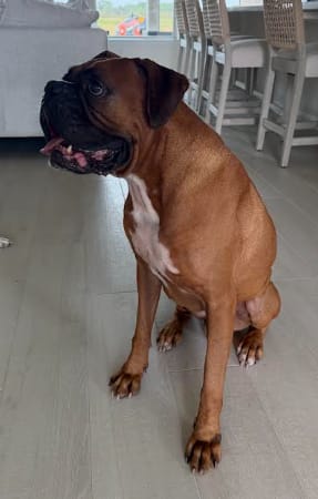 Photo of Napo