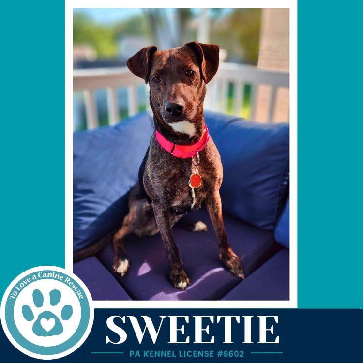 Photo of Sweetie (Mom to Sweeties Sweets) 082926