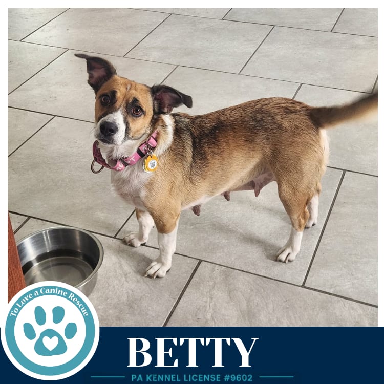 Photo of Betty (Mom to Betty's Babble Bunch) 062726