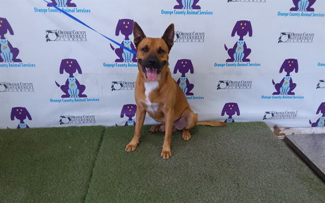 Photo of MAZE
