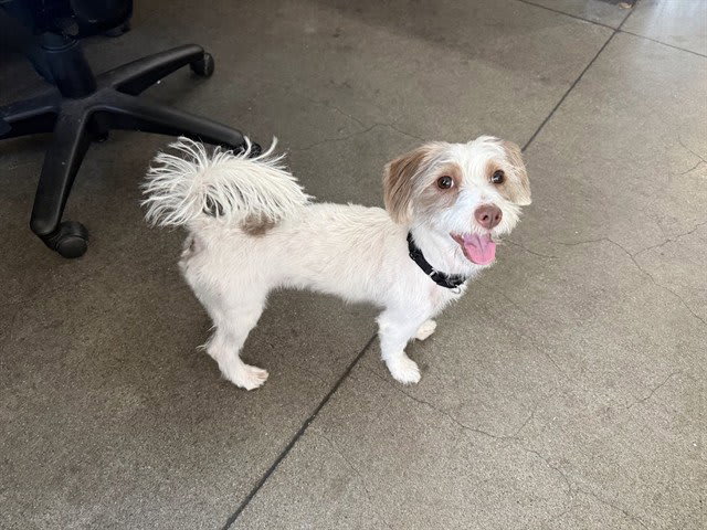 Photo of COCO