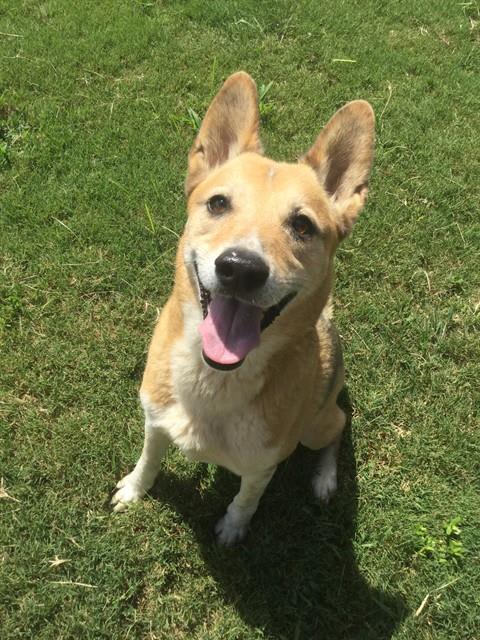 Photo of CHASE