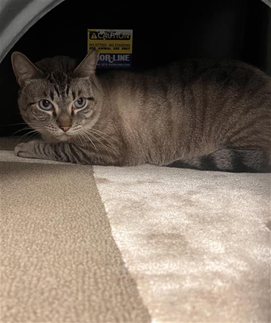 Photo of HERBIE
