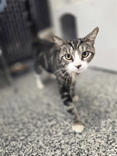 Photo of PANCAKE