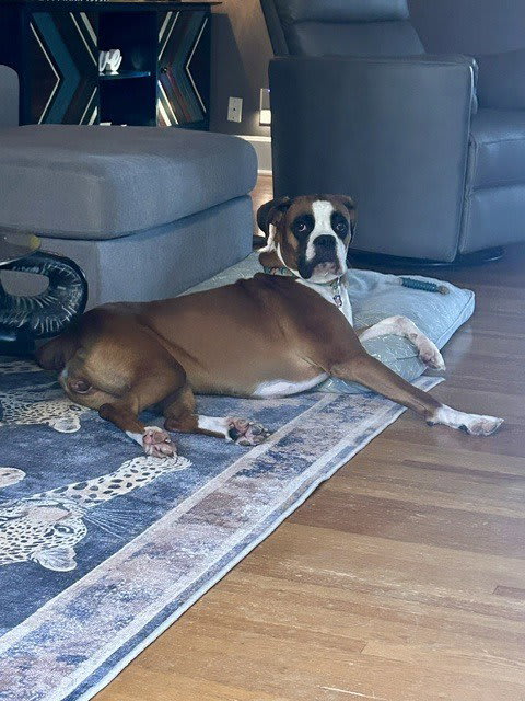 Photo of Zeva