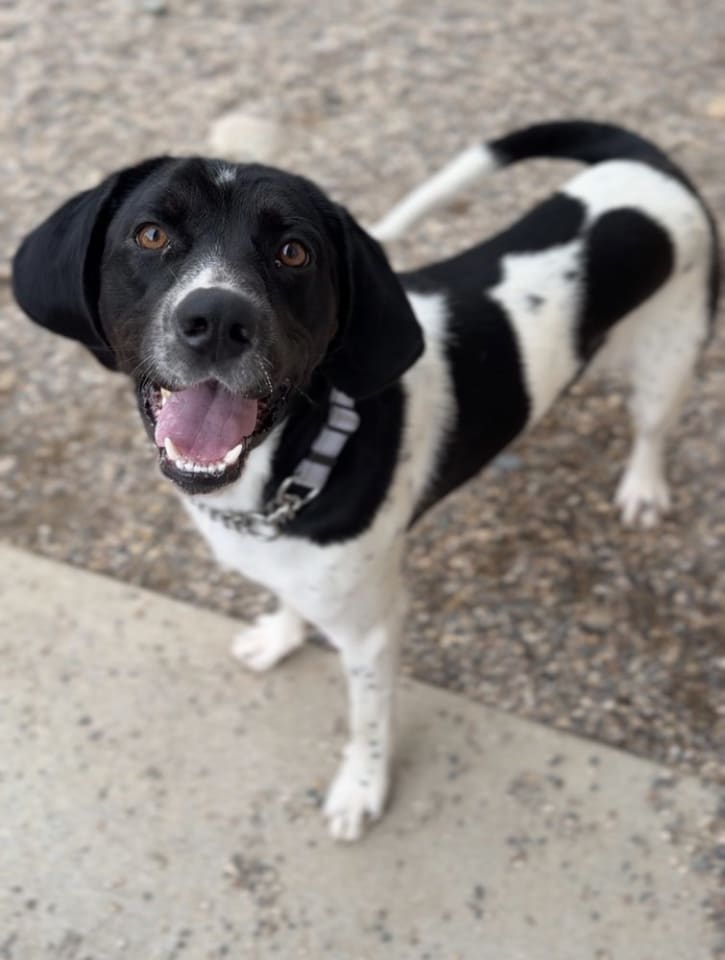 Photo of Brew