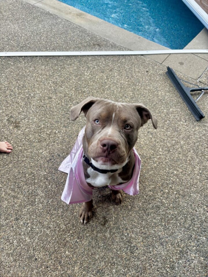 Photo of King
