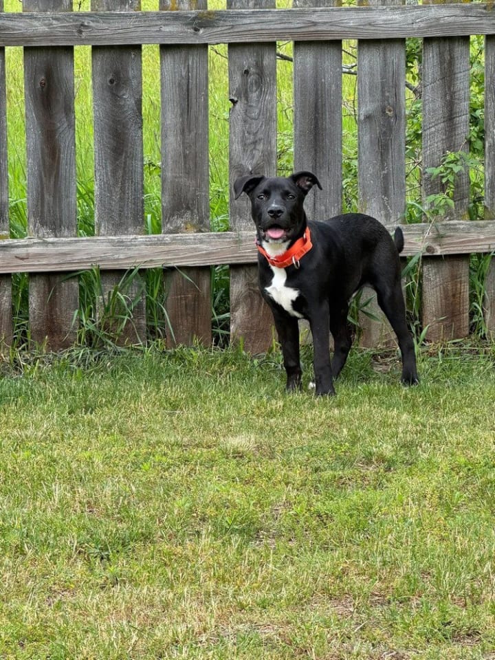 Photo of Jedidiah (Jed)