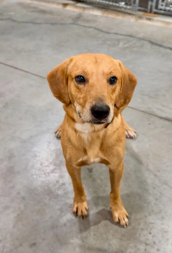 Photo of Riddle