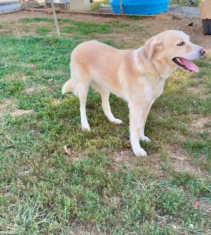 Photo of Elphie