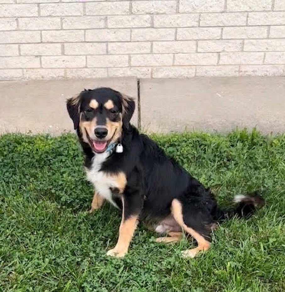 Photo of PONCHO