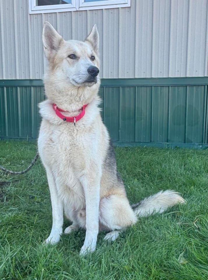 Photo of PTH Max