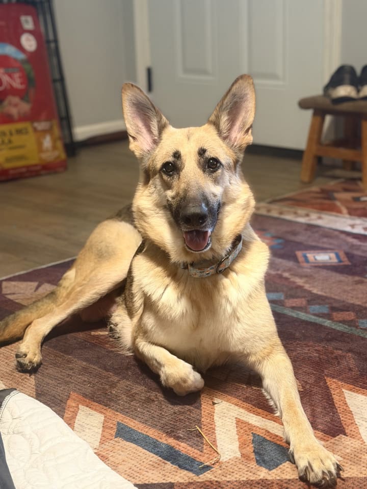 Photo of Remington
