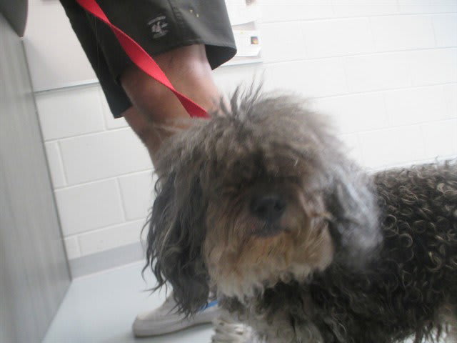 Photo of MAX