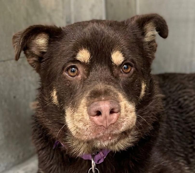 Photo of HONEY
