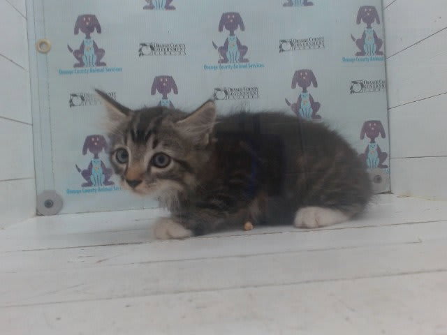 Photo of NEPTUNE