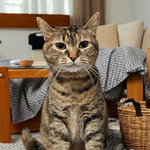 Photo of FARRAH