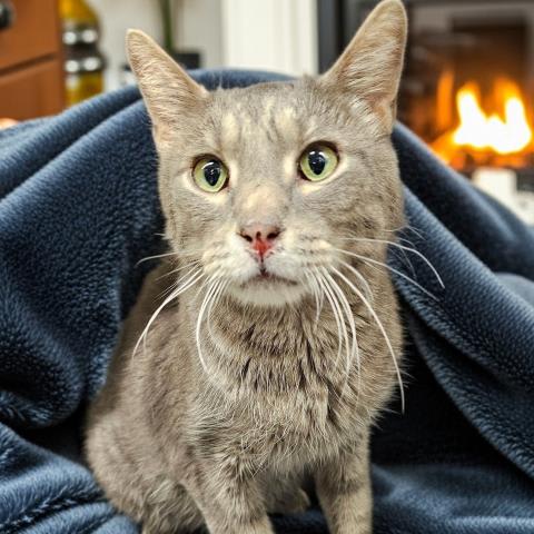 Photo of NORBERT