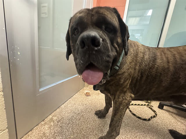 Photo of GUS
