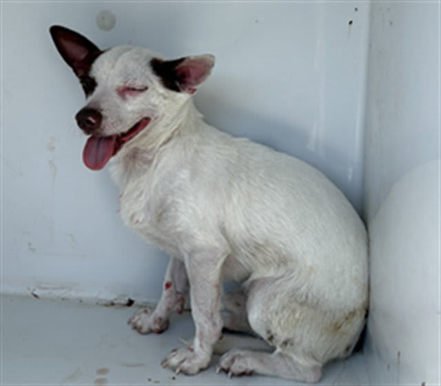 Photo of PENDLETON