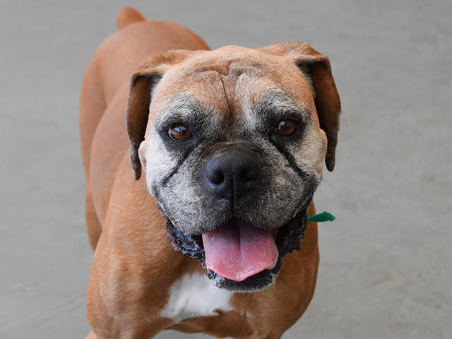 Photo of EDNA