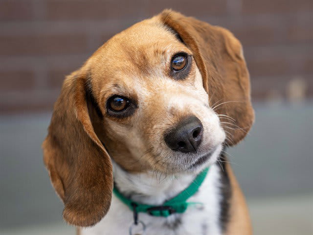 Photo of RUBY TUESDAY