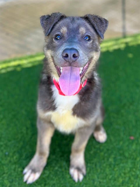 Photo of DANTE
