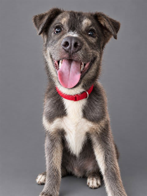 Photo of DANTE