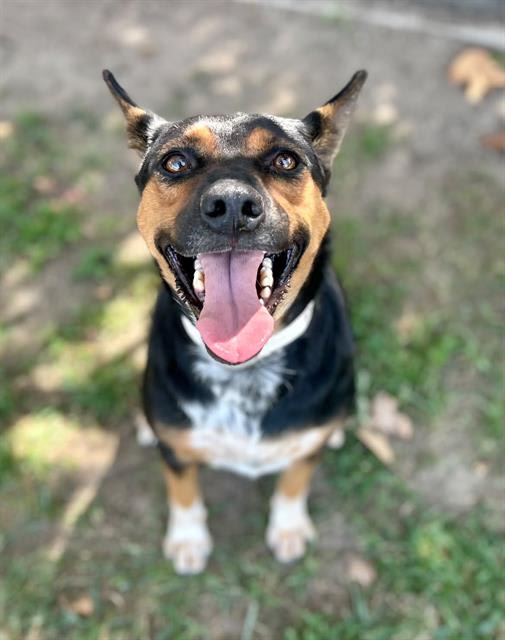 Photo of WAXY