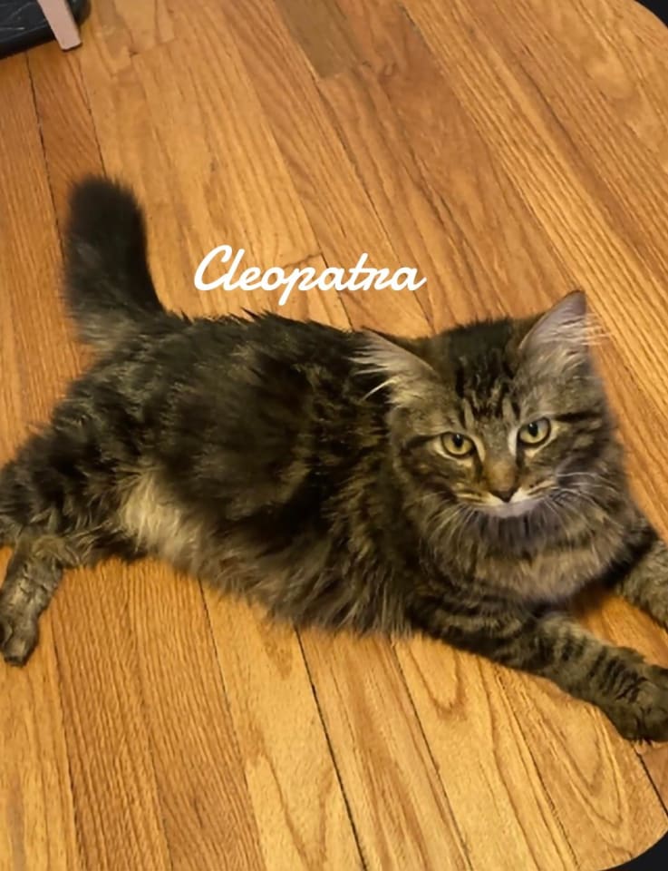 Photo of Cleopatra