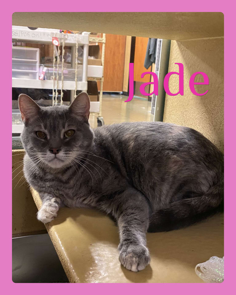 Photo of JADE
