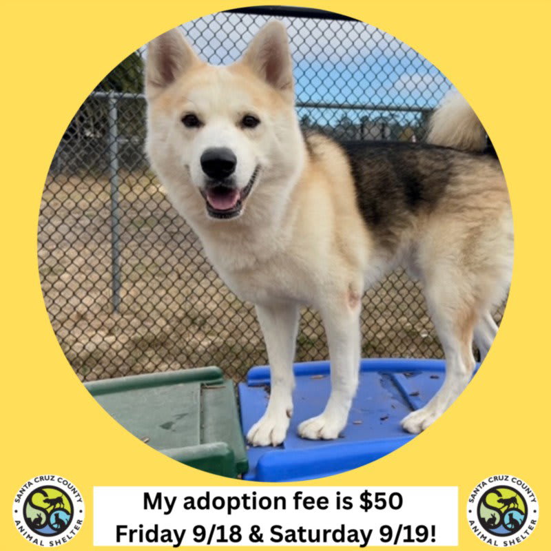 Photo of KENAI