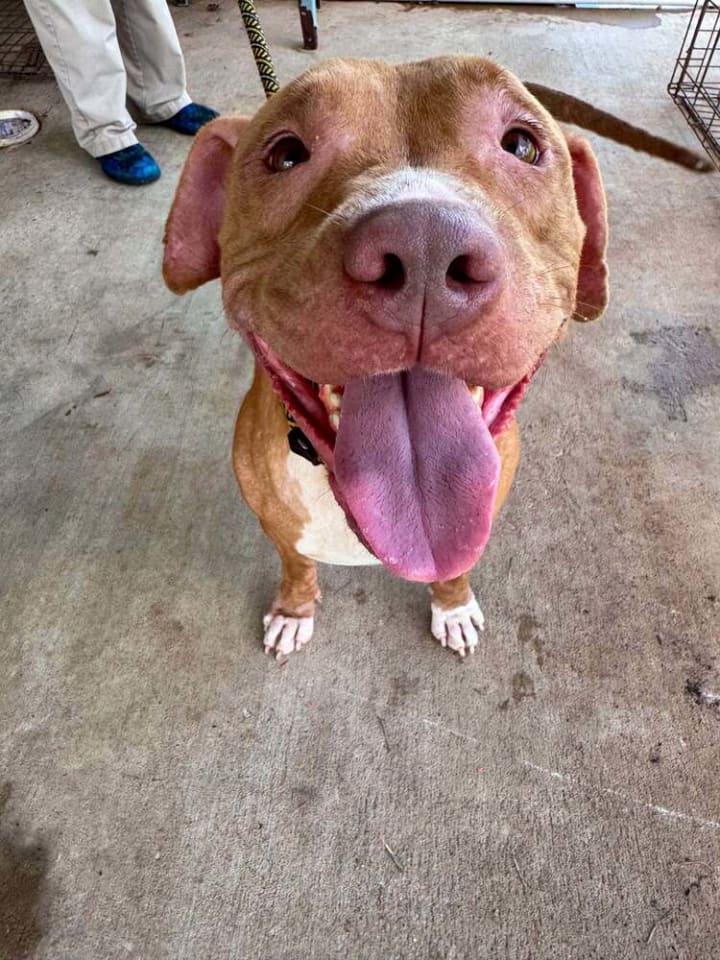 Photo of Rosie