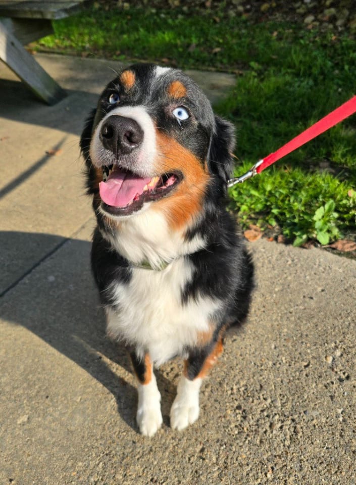 Photo of THOR