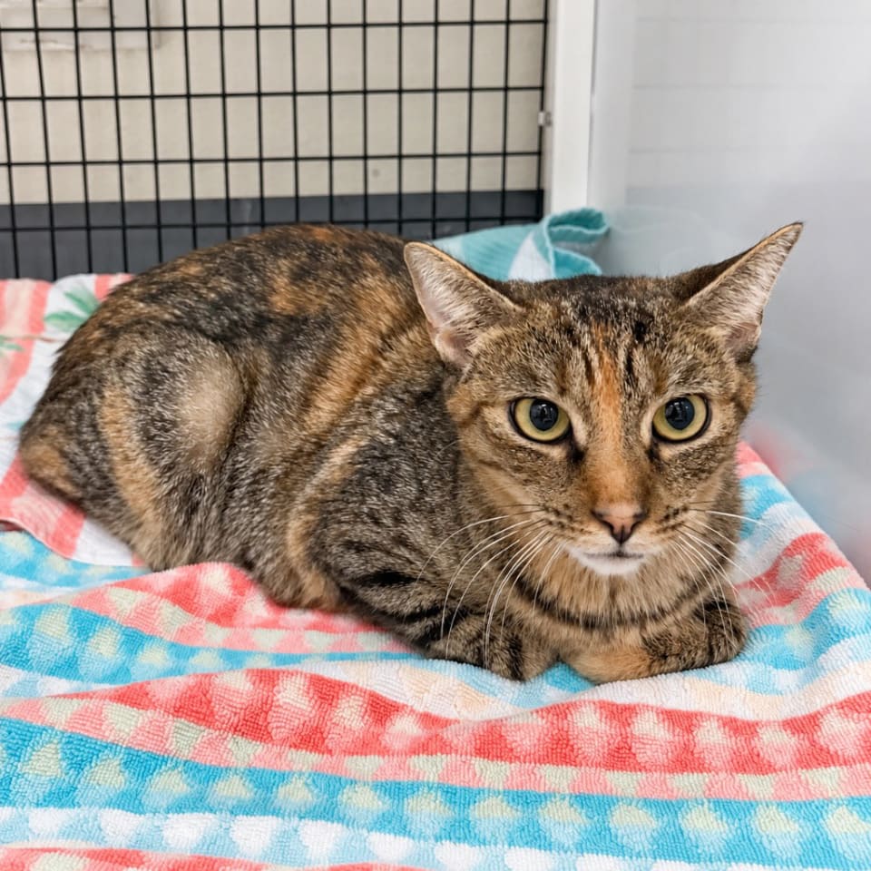 Photo of Gladys