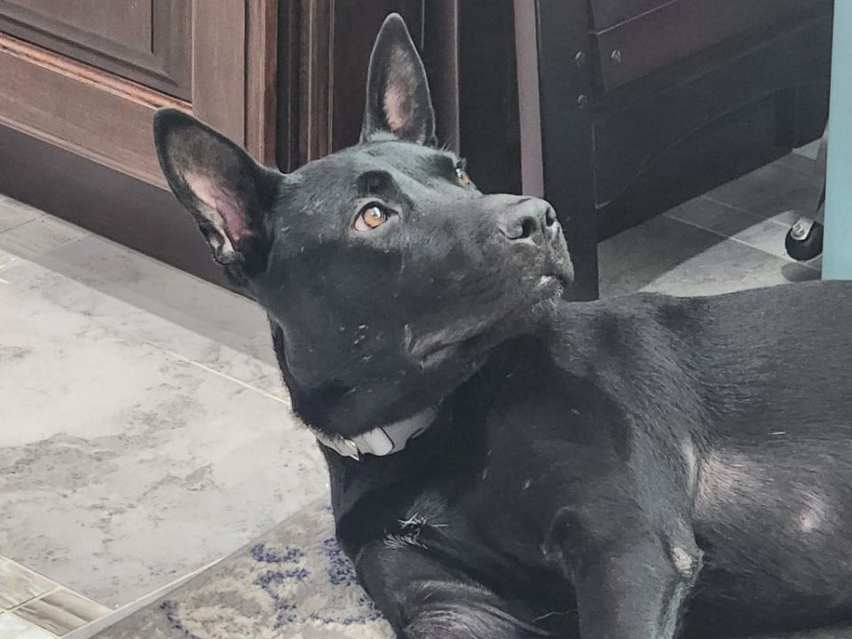 Photo of Doc