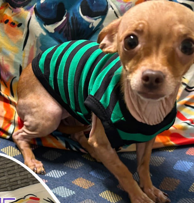 Photo of Pennie