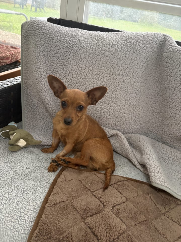 Photo of Betty