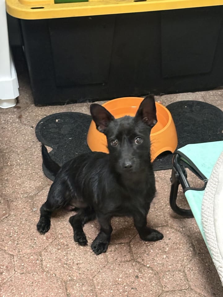 Photo of Luca