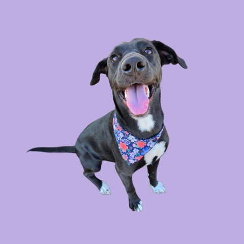 Photo of MOONA