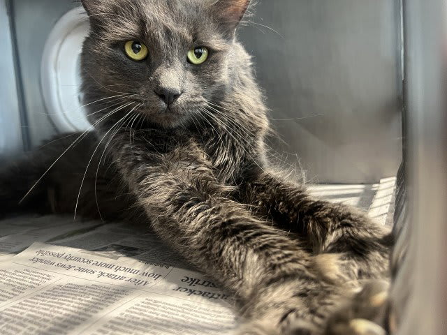 Photo of NIMBUS