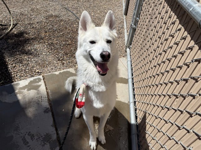 Photo of TUMBLER