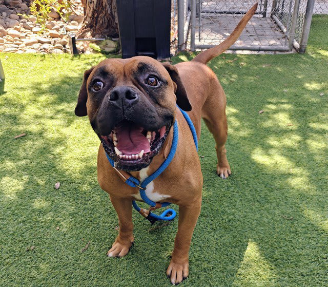 Photo of ATLAS